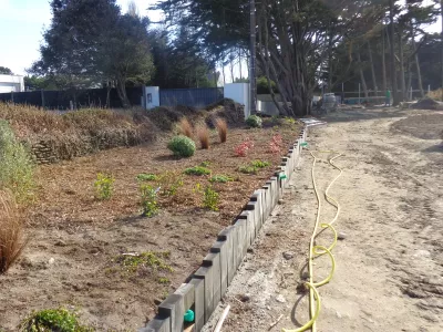 Plantation arbustes