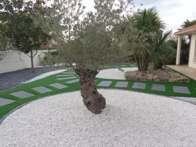 Plantation et gazon synthétique