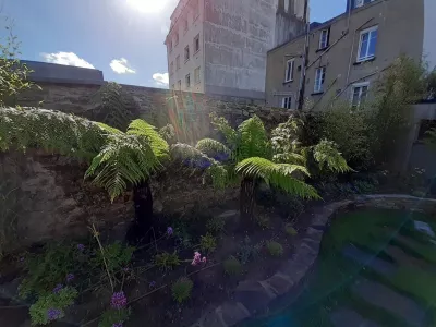 Plantation et engazonnement