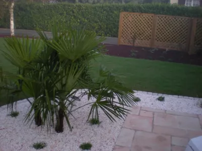 Plantation et engazonnement