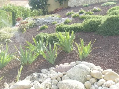 Plantation vivaces
