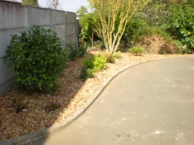 Plantation arbustes