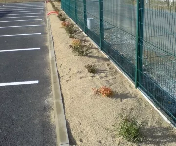 Plantation haie
